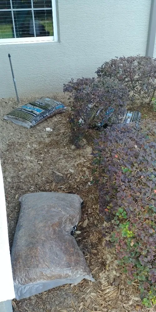 Top-rated yard cleanup service in Inverness, FL - Crespo Repairs