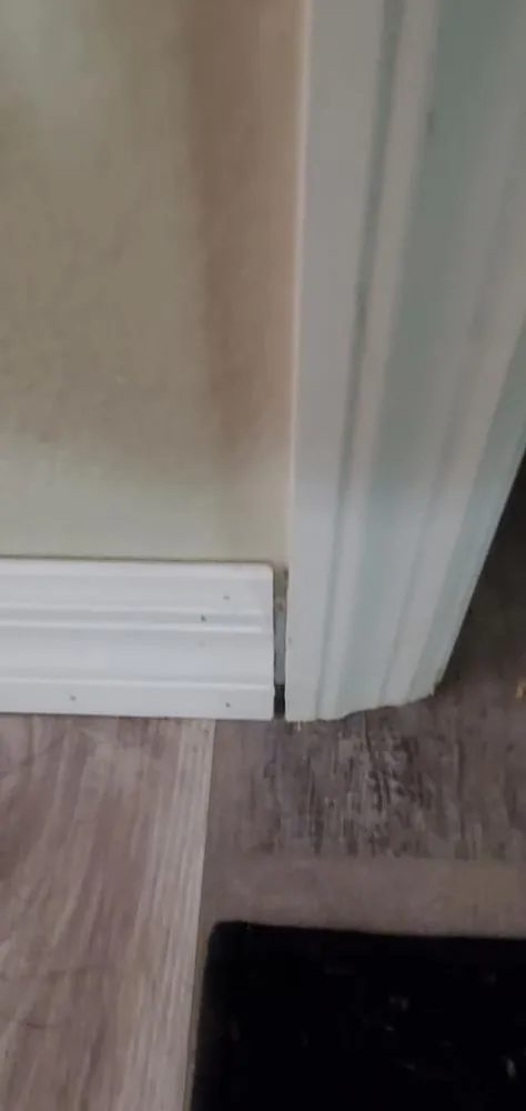 Custom landscaping services in Inverness, FL by Crespo Repairs