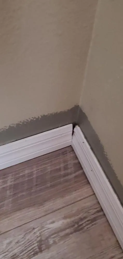 Top-rated yard cleanup service in Inverness, FL - Crespo Repairs