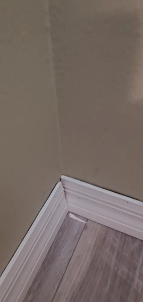 Trusted lawn mowing service near you across Inverness, FL - Crespo Repairs