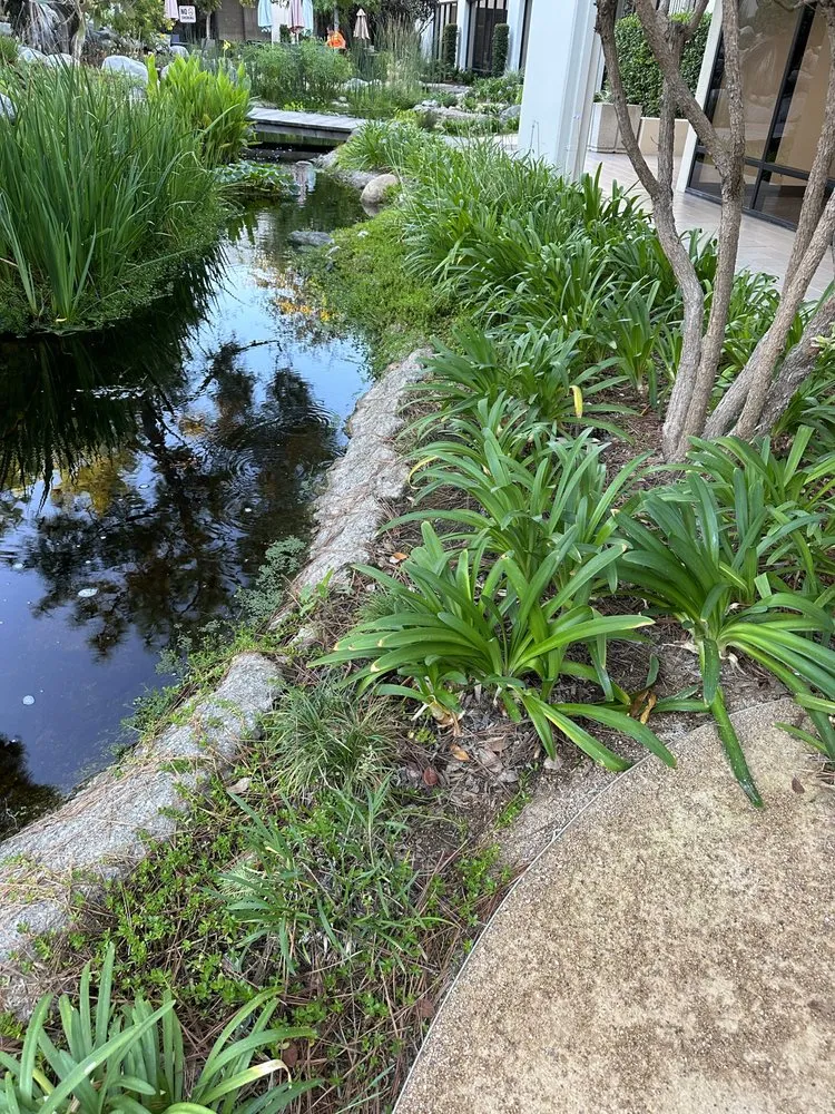 Custom residential landscaping experts serving Santa Ana, CA - Crespolanscape