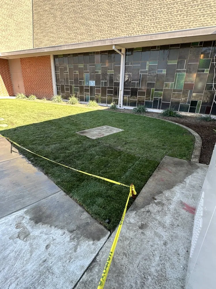 Reliable outdoor landscaping for year-round maintenance in Santa Ana, CA by Crespolanscape