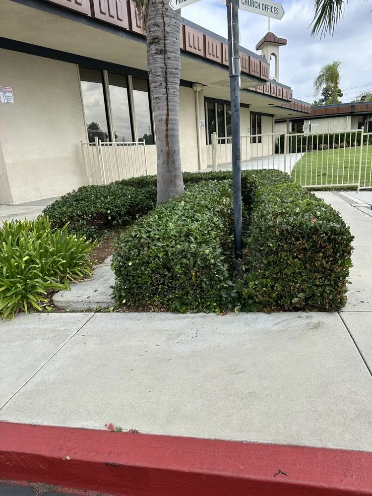 Local outdoor landscaping in Santa Ana, CA - Crespolanscape