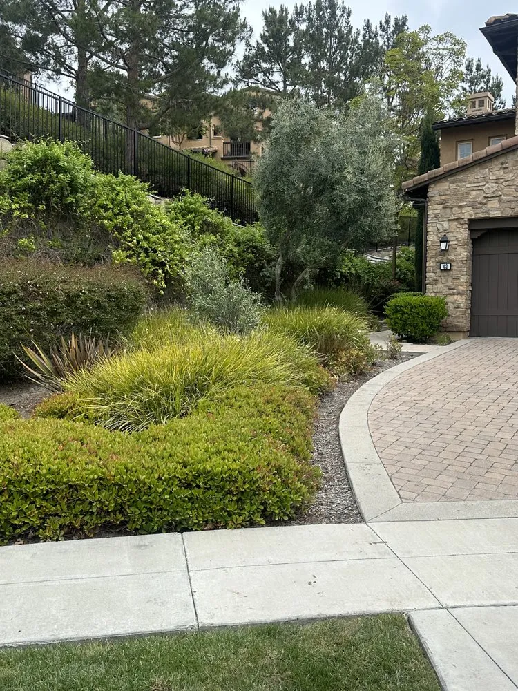 Professional lawn care service with custom design across Santa Ana, CA - Crespolanscape
