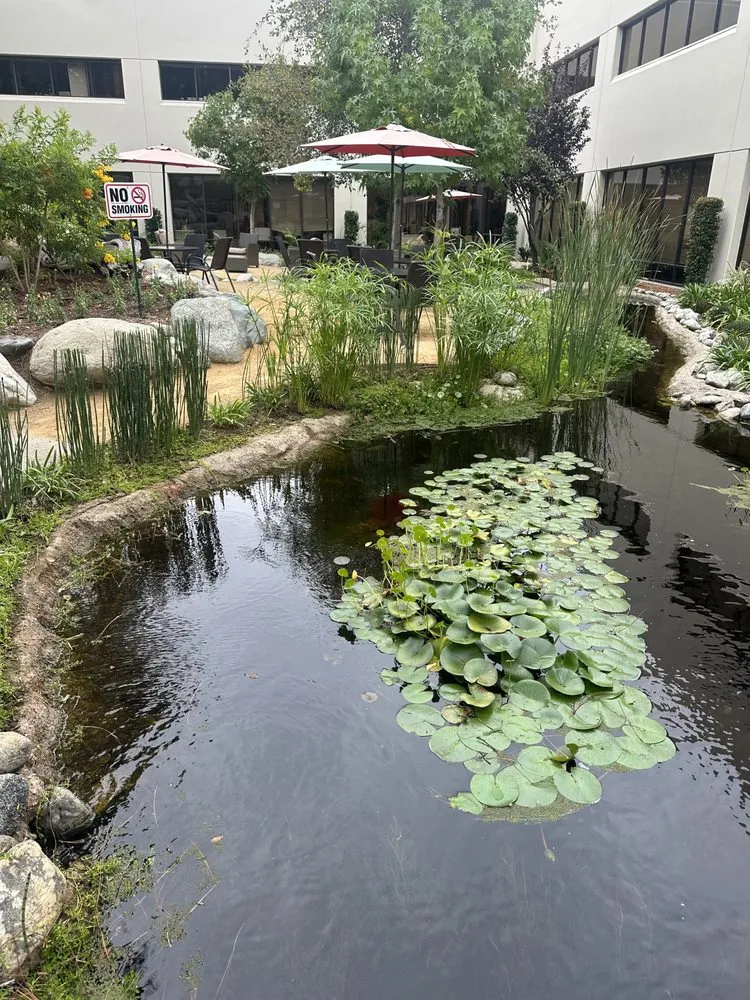 Professional yard maintenance with custom design across Santa Ana, CA - Crespolanscape