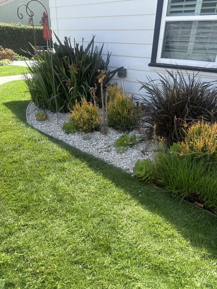 Custom residential landscaping in Santa Ana, CA by Crespolanscape