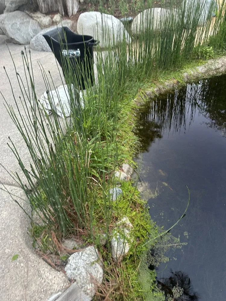 Custom landscape design experts serving Santa Ana, CA - Crespolanscape