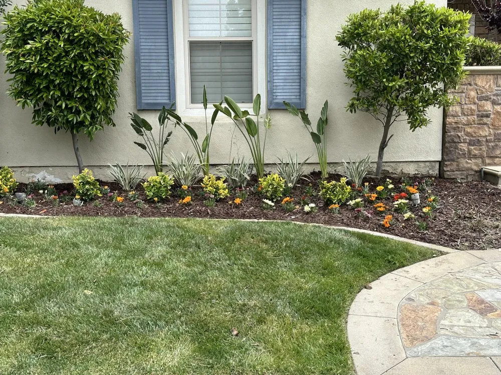 Professional yard cleanup service for year-round maintenance across Santa Ana, CA - Crespolanscape
