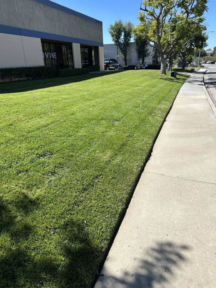 Custom landscape installation experts serving Santa Ana, CA - Crespolanscape