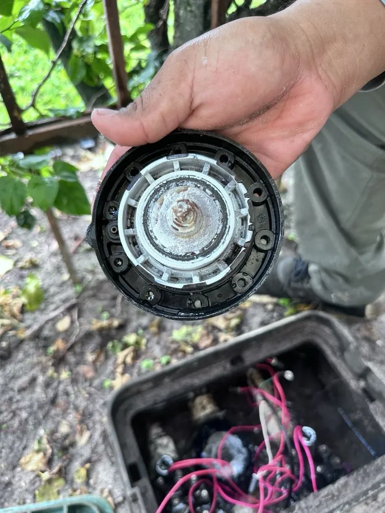 Local residential landscaping in Pompano Beach, FL by Crespo’s Complete Maintenance