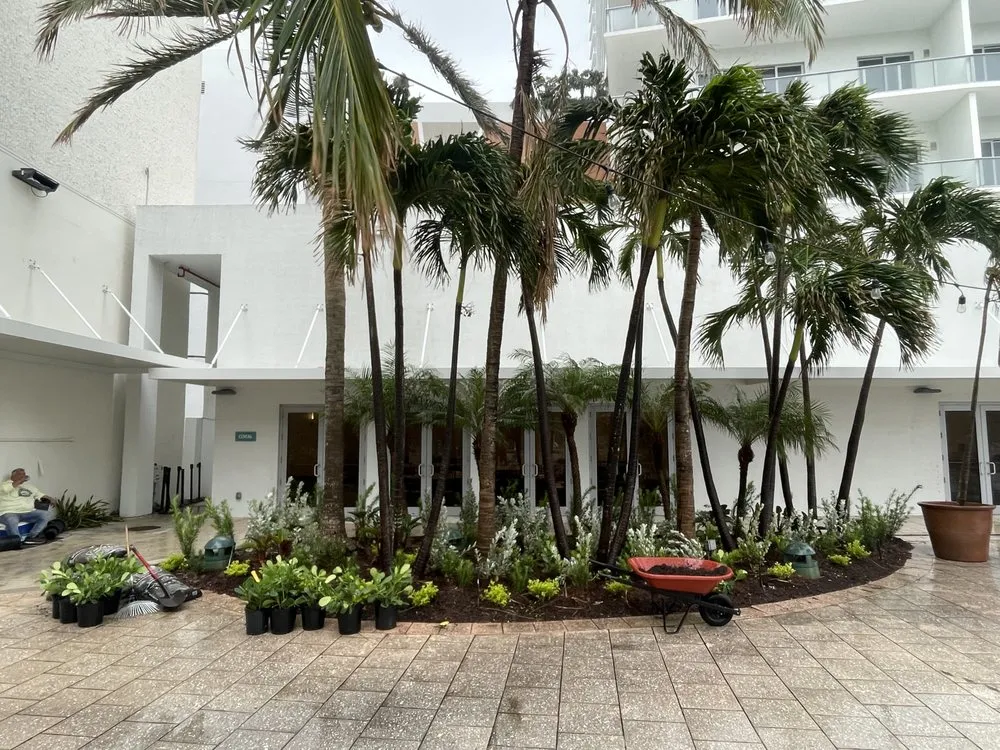Expert yard cleanup service in Pompano Beach, FL by Crespo’s Complete Maintenance