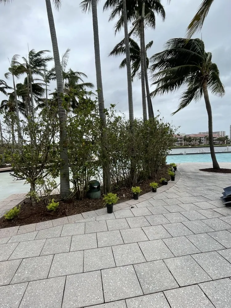 Professional yard cleanup service for beautiful yards in Pompano Beach, FL by Crespo’s Complete Maintenance