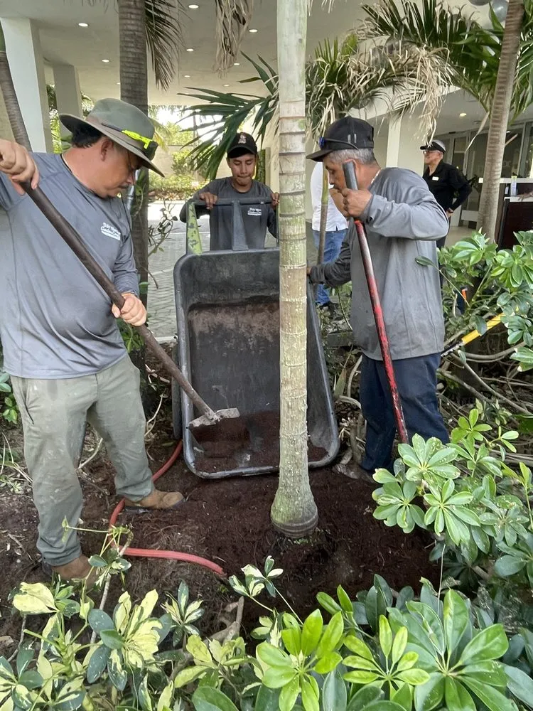 Trusted yard maintenance experts serving Pompano Beach, FL - Crespo’s Landscaping