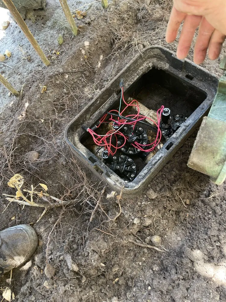 Expert lawn mowing service for year-round maintenance across Pompano Beach, FL - Crespo’s Landscaping