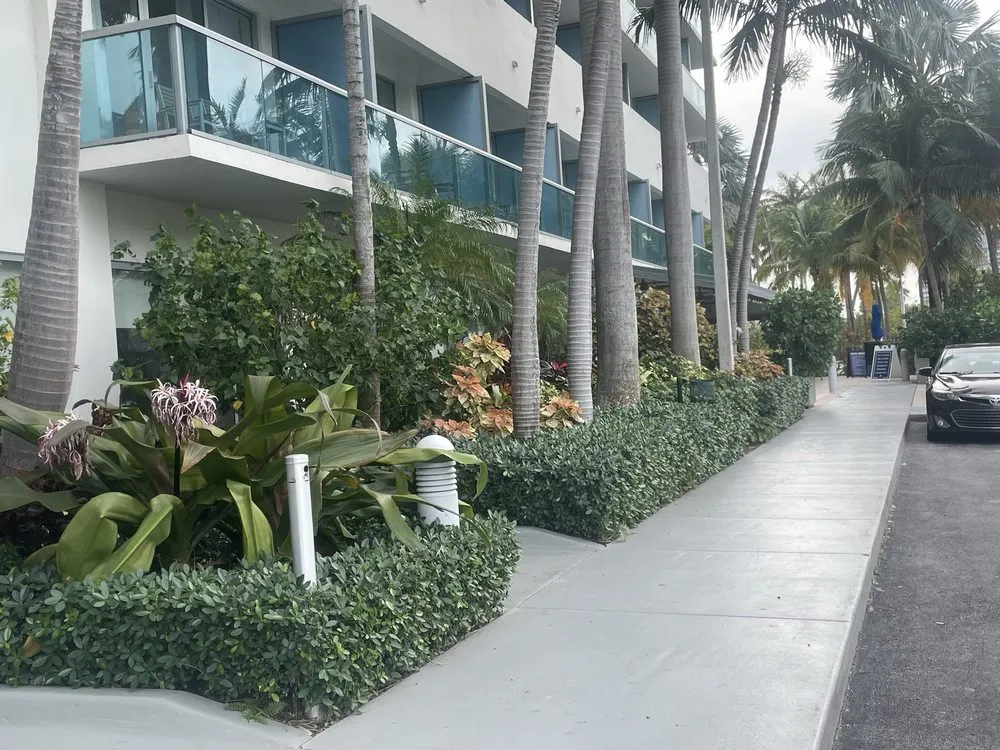 Trusted outdoor landscaping in Pompano Beach, FL - Crespo’s Landscaping