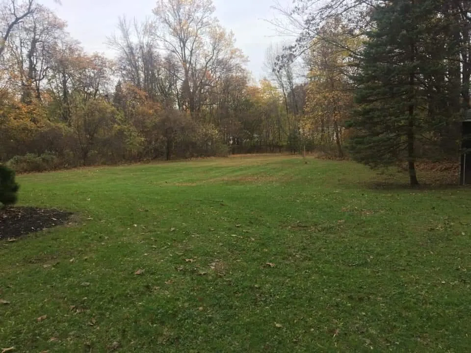 Custom yard cleanup service in Allentown, PA by Cressman Family Lawn Care