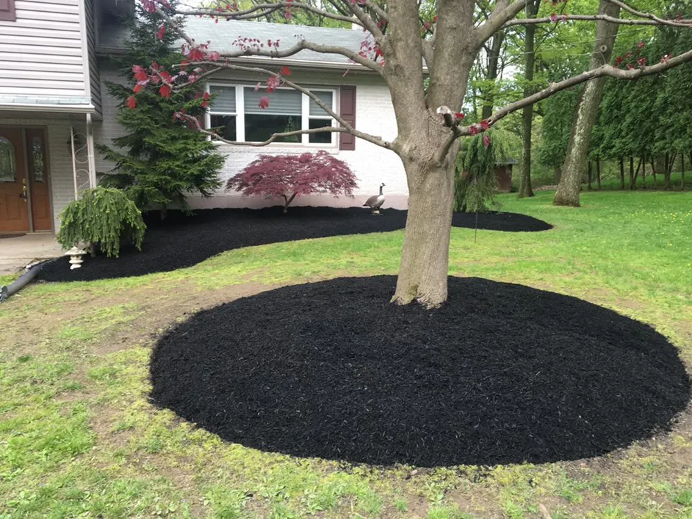 Top-rated landscaping services in Allentown, PA by Cressman Family Lawn Care