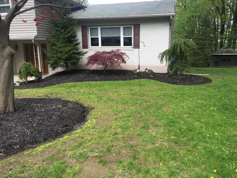 Trusted lawn mowing service for beautiful yards across Allentown, PA - Cressman Family Lawn Care
