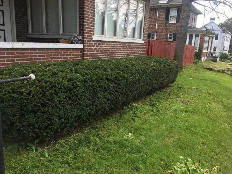 Professional garden landscaping for residential properties in Allentown, PA by Cressman Family Lawn Care