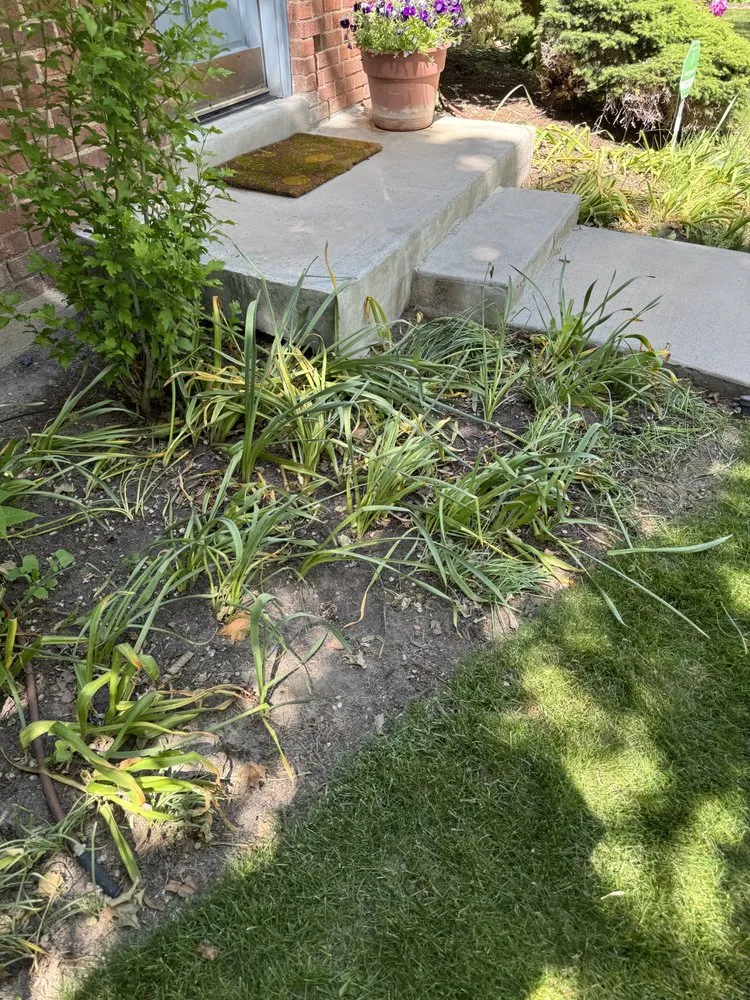 Trusted yard maintenance in Salt Lake City, UT - Crest Landscapes