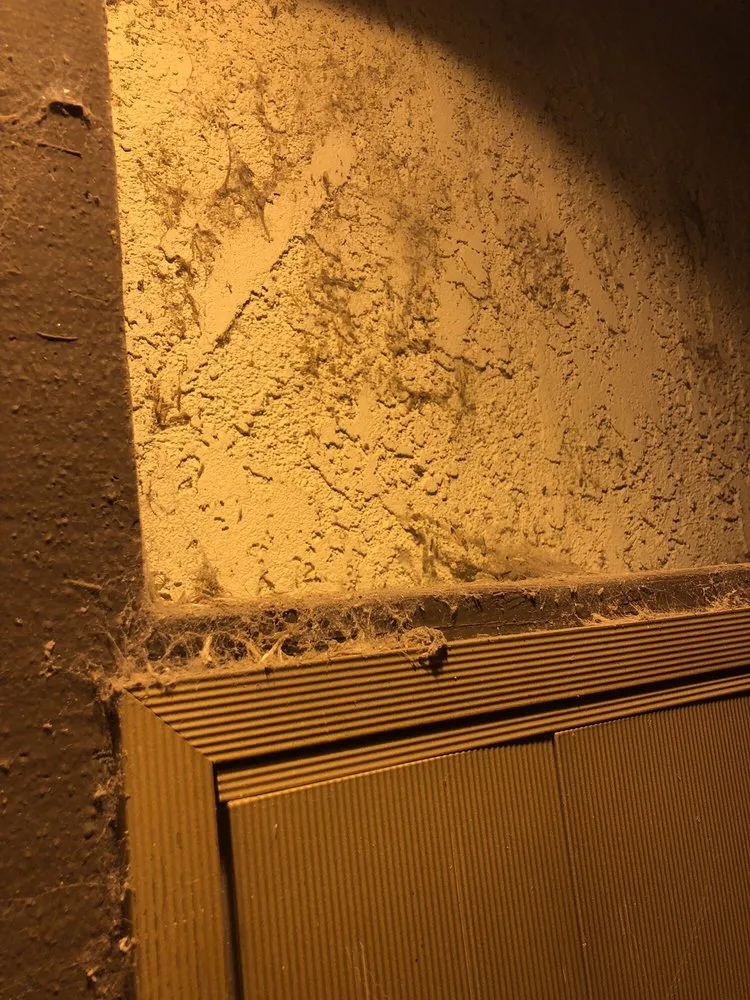 Top-rated garden landscaping in Santa Ana, CA - Cresta Verde Landscape