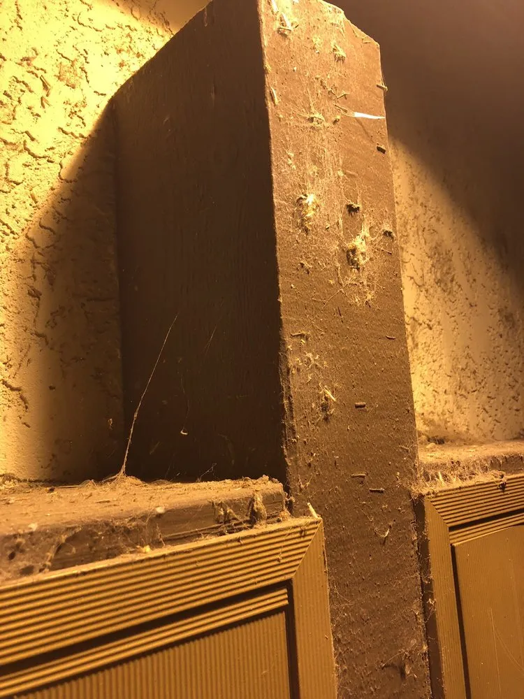 Custom lawn care service for outdoor upgrades in Santa Ana, CA by Cresta Verde Landscape