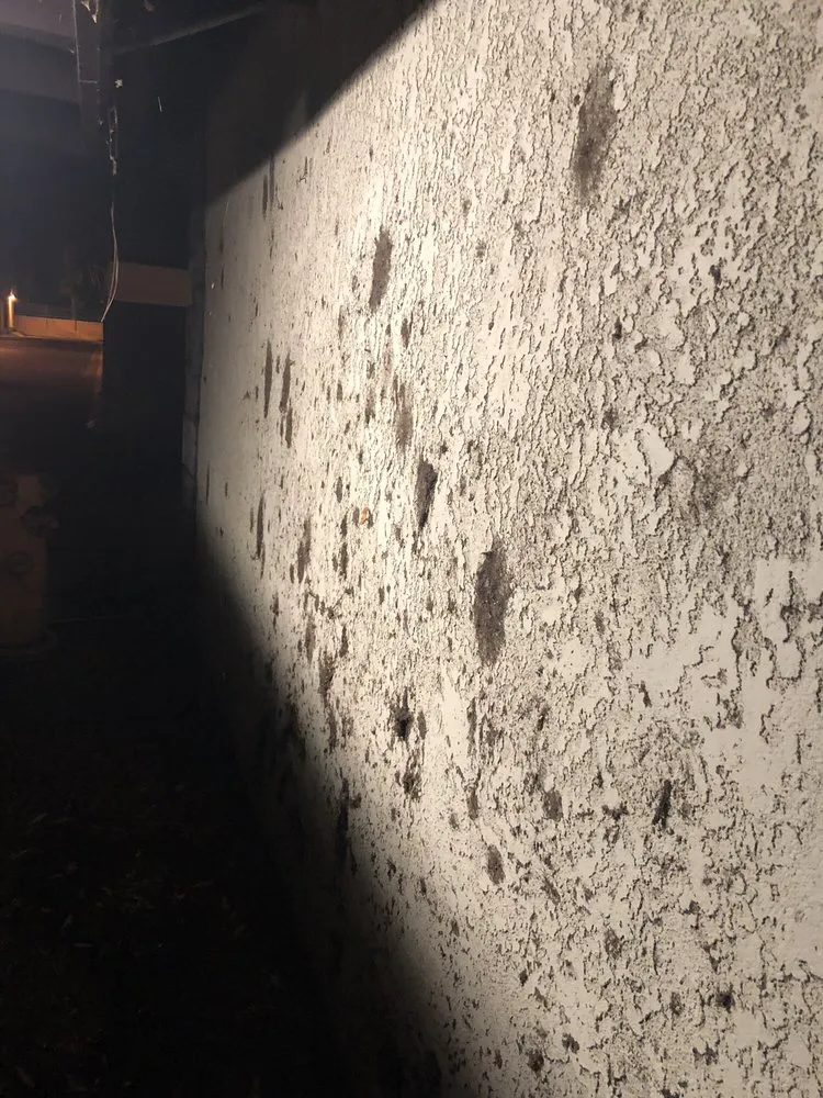 Custom residential landscaping in Santa Ana, CA - Cresta Verde Landscape