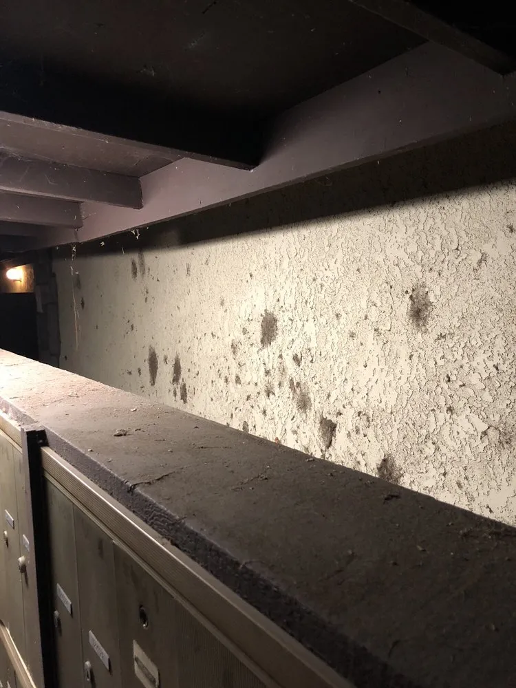 Expert garden landscaping in Santa Ana, CA - Cresta Verde Landscape