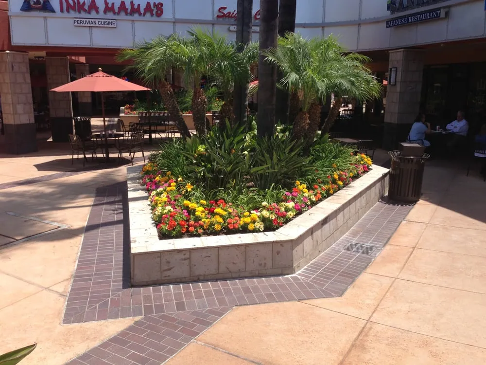 Custom lawn care service experts serving Santa Ana, CA - Cresta Verde Landscape