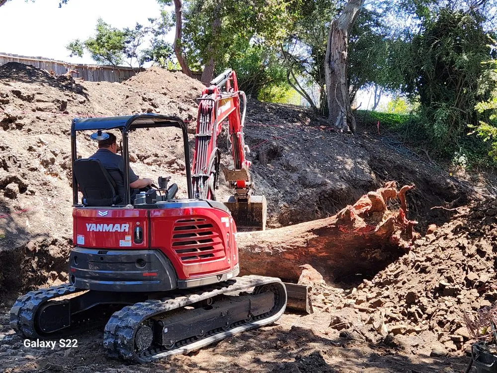 Trusted yard cleanup service in Santa Cruz, CA - Crestline Construction
