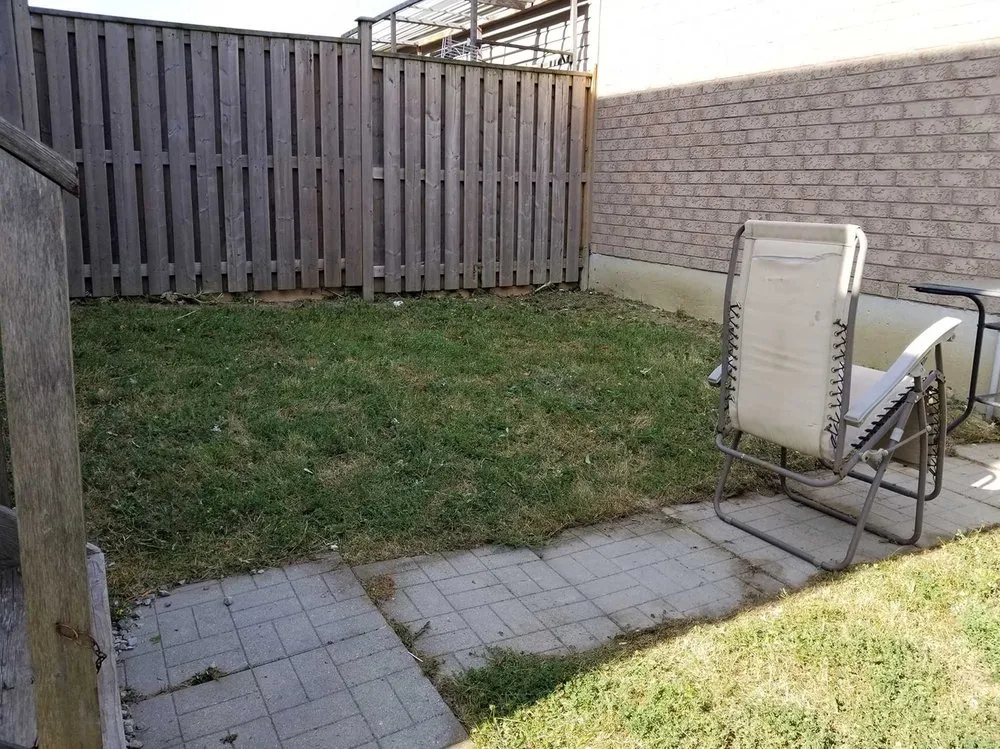 Trusted yard cleanup service in Chicago, IL - Crestline Lawn Services