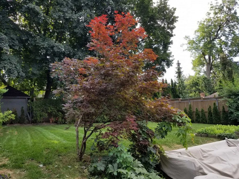 Expert outdoor landscaping experts serving Chicago, IL - Crestline Lawn Services