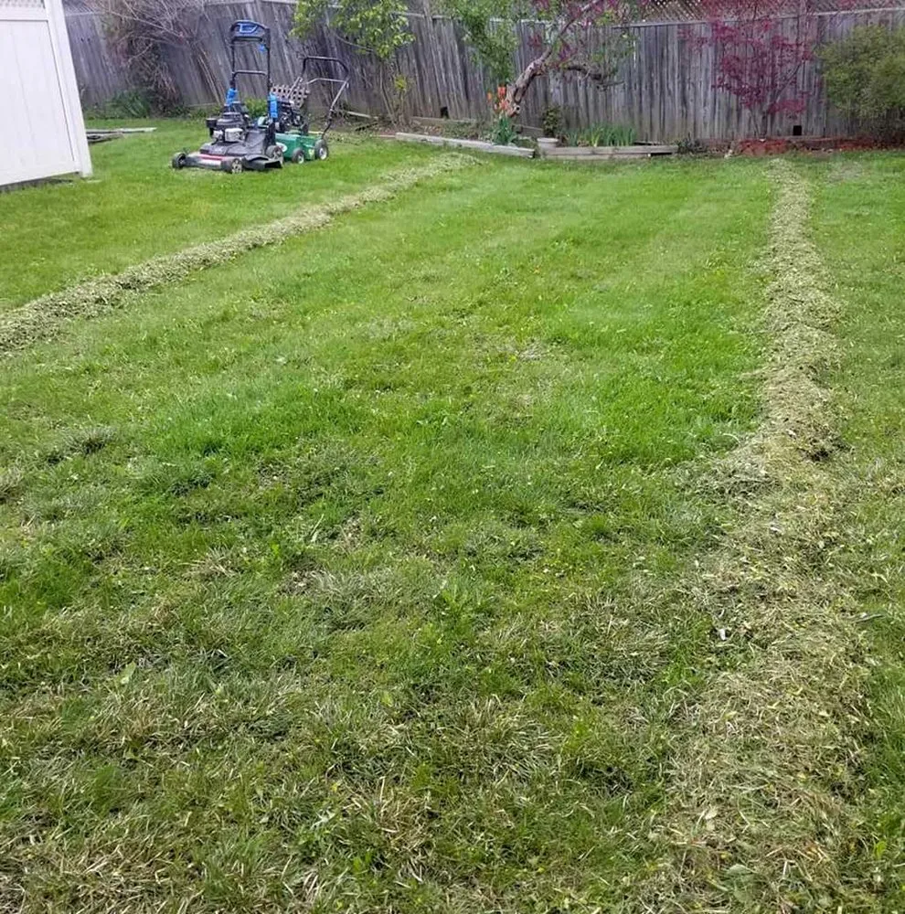 Expert lawn mowing service for beautiful yards across Chicago, IL - Crestline Lawn Services