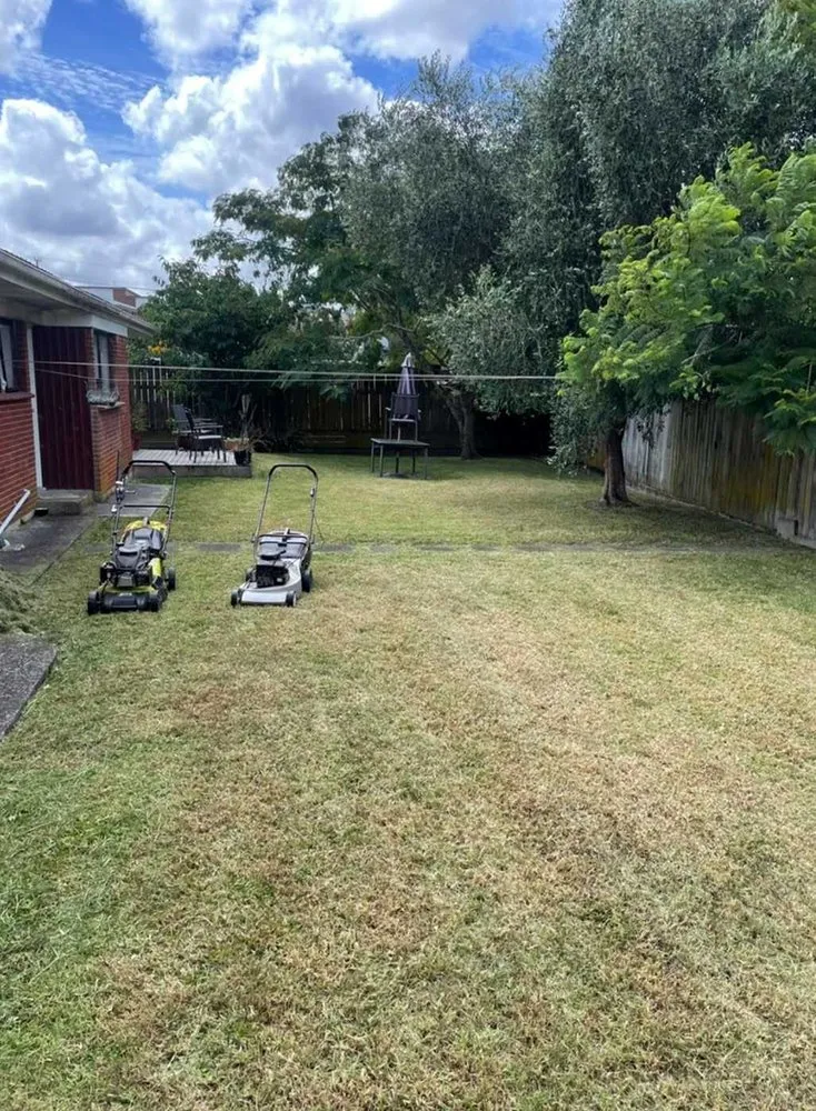 Professional landscape installation in Chicago, IL by Crestline Lawn Services