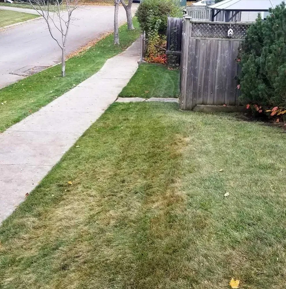 Top-rated landscaping services in Chicago, IL - Crestline Lawn Services