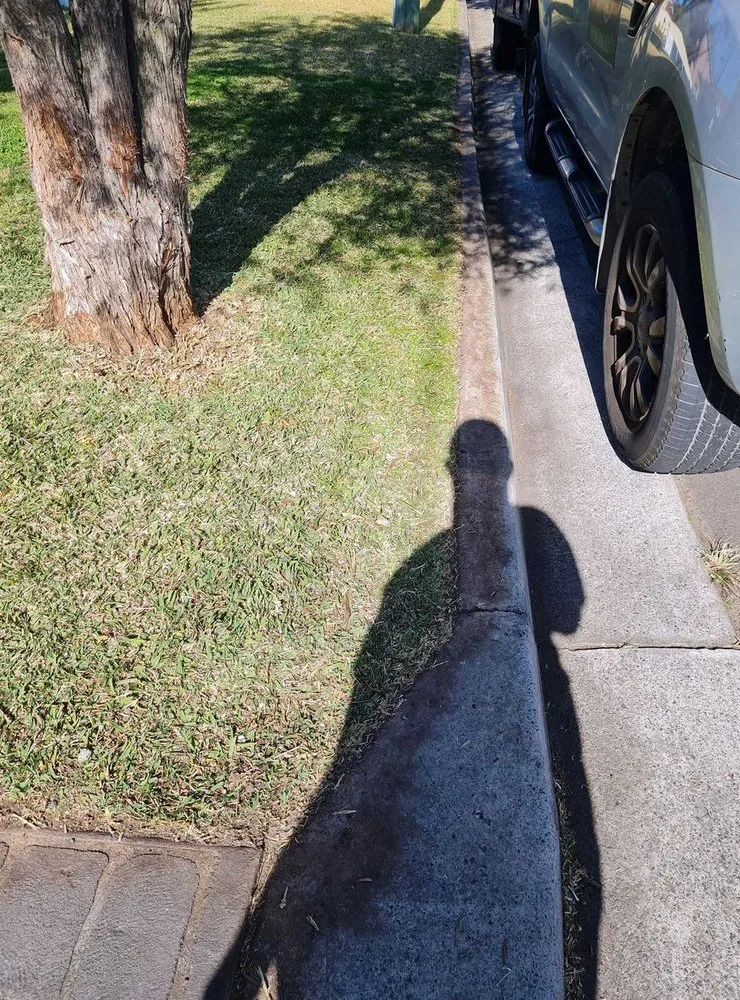 Local lawn care service for outdoor upgrades across Denver, CO - Crestmoor Lawn Care