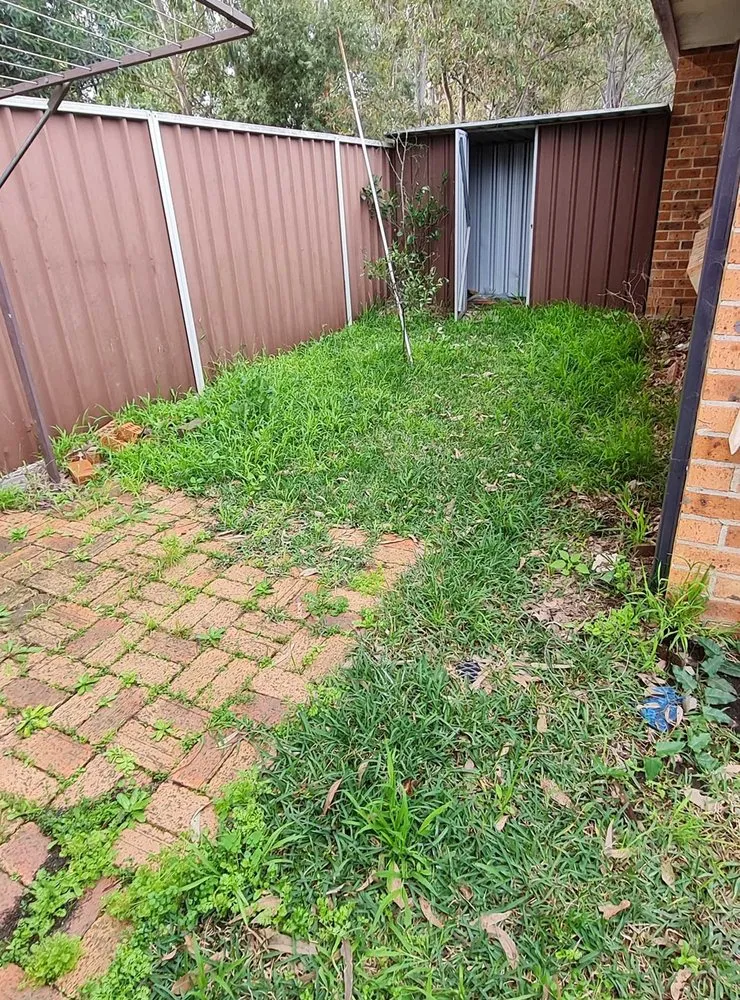 Local yard maintenance in Denver, CO by Crestmoor Lawn Care