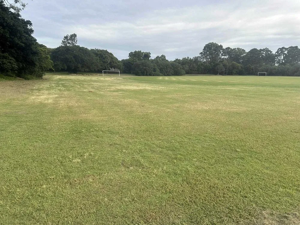 Local lawn mowing service for year-round maintenance in Denver, CO by Crestmoor Lawn Care