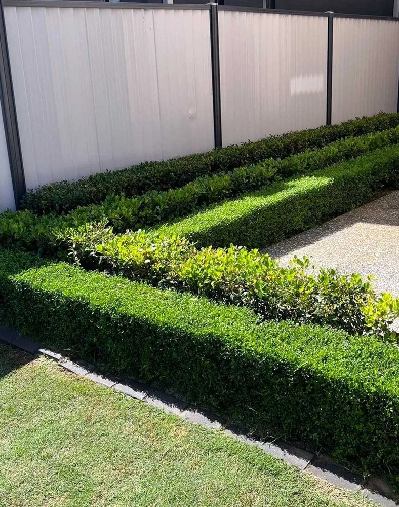 Expert yard maintenance in Denver, CO - Crestmoor Lawn Care