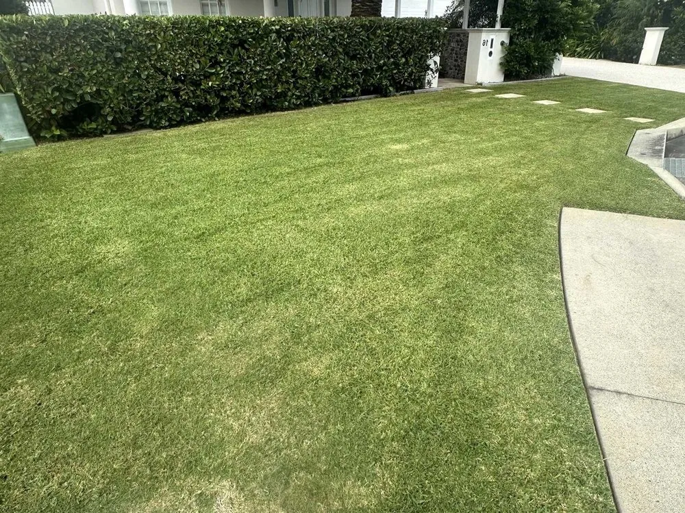 Trusted residential landscaping in Denver, CO - Crestmoor Lawn Care