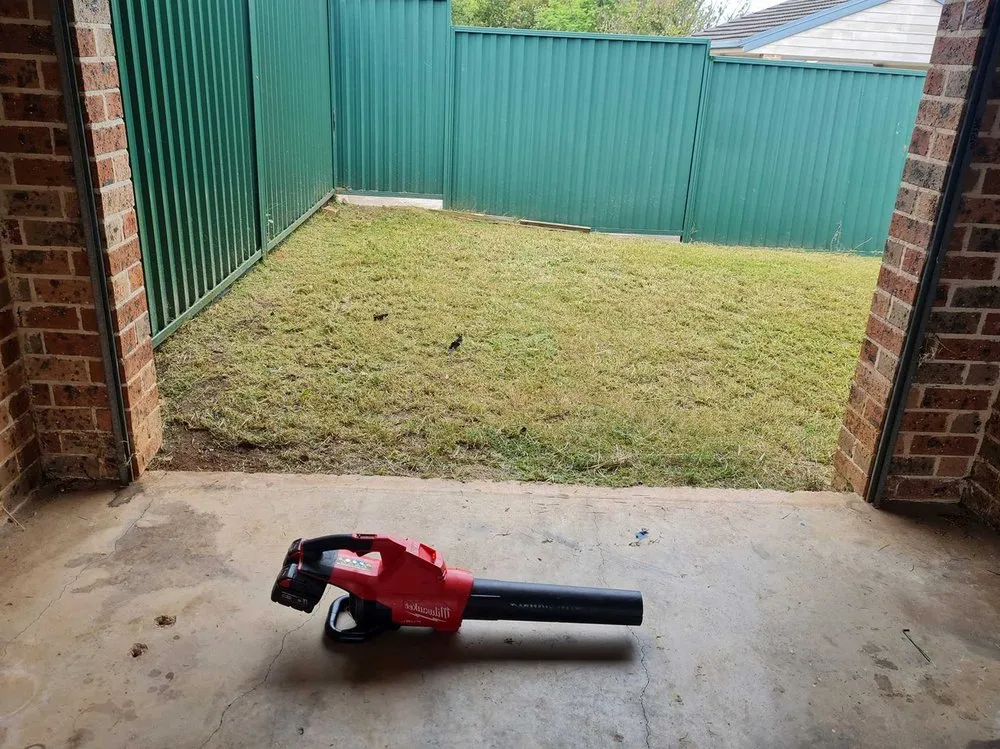 Top-rated lawn care service for outdoor upgrades in Denver, CO by Crestmoor Lawn Care