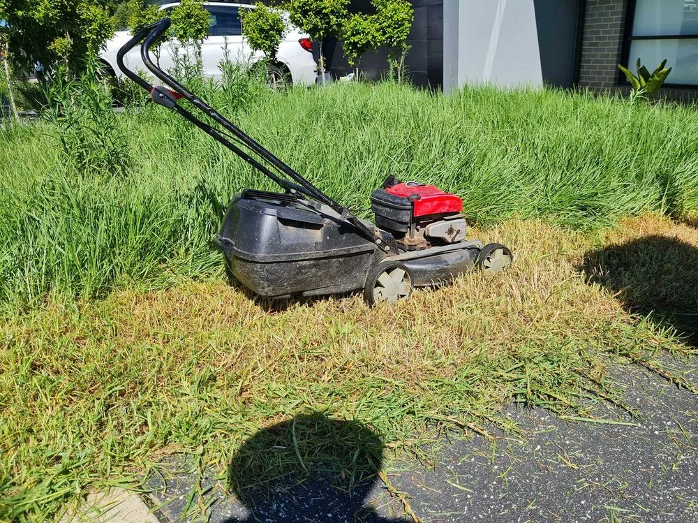 Trusted yard cleanup service for residential properties in Denver, CO by Crestmoor Lawn Care