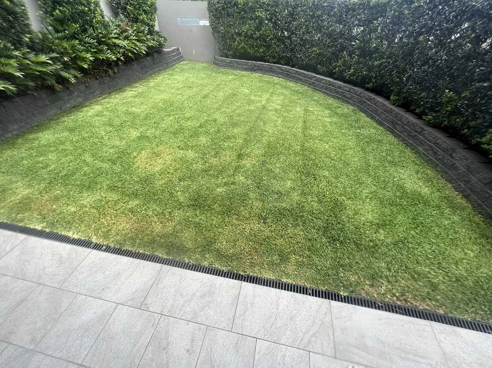 Trusted yard maintenance in Denver, CO - Crestmoor Lawn Care