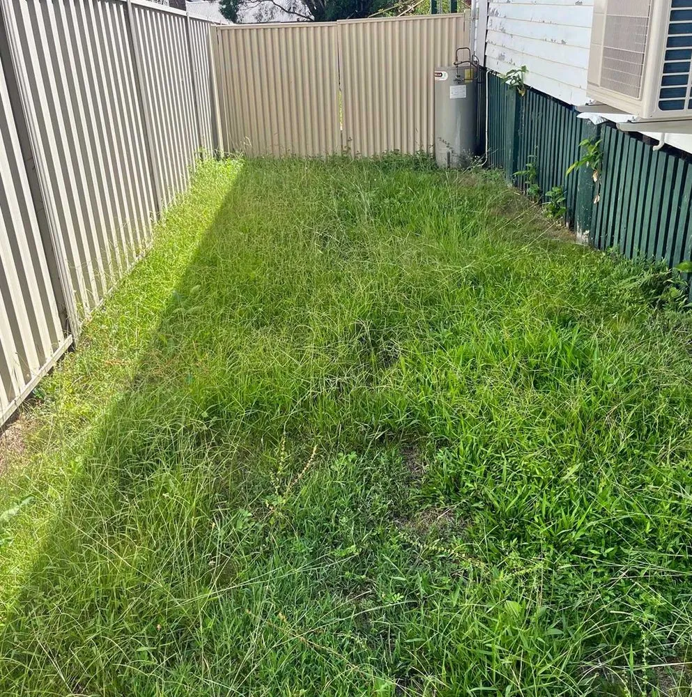 Professional landscape installation for year-round maintenance in Denver, CO by Crestmoor Lawn Care