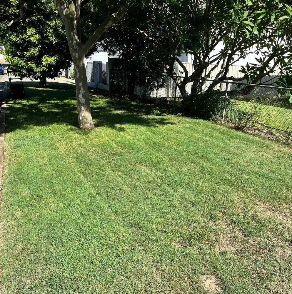 Affordable landscape design experts serving Denver, CO - Crestmoor Lawn Care