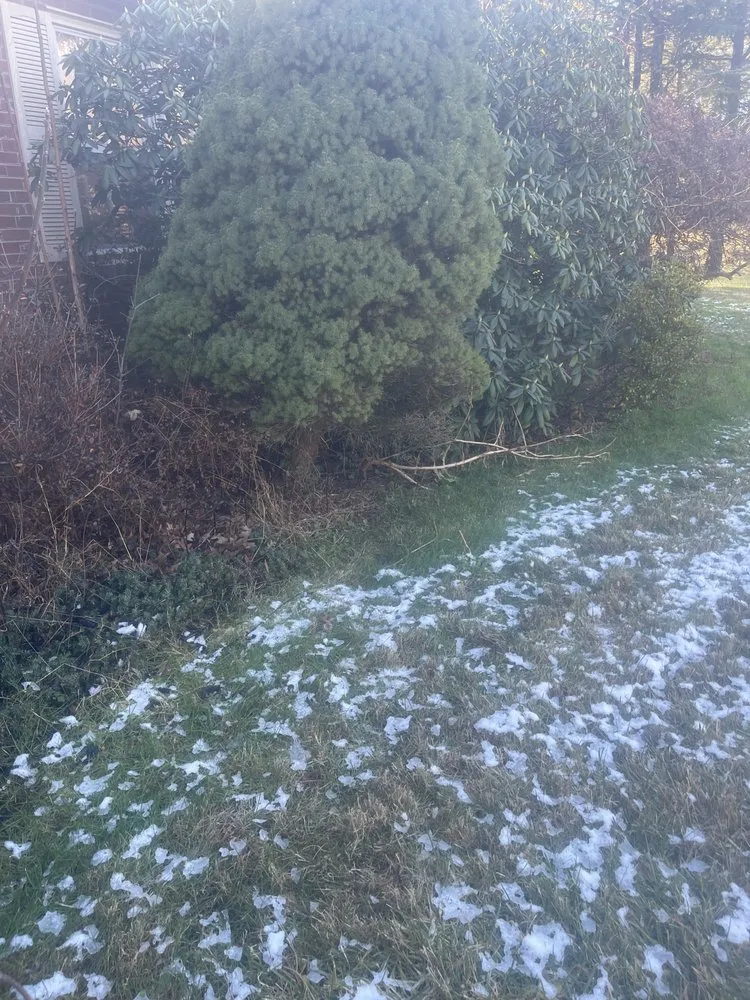 Affordable yard cleanup service for beautiful yards across Chantilly, VA - Crestview Landscaping