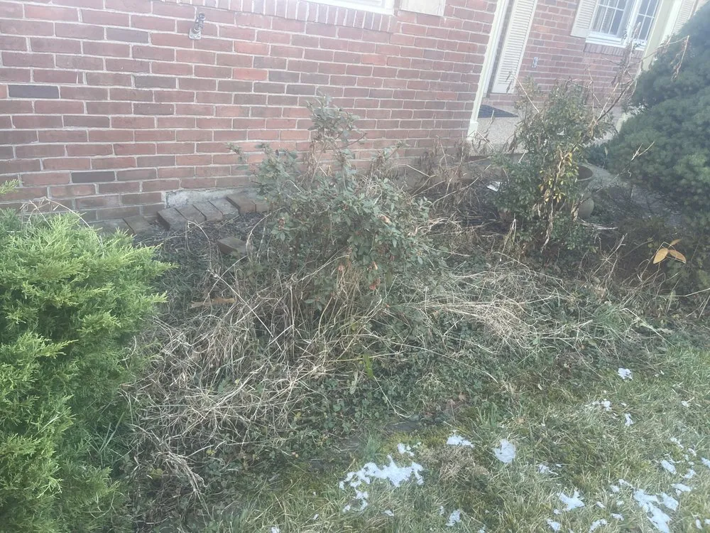 Trusted landscaping services for residential properties across Chantilly, VA - Crestview Landscaping