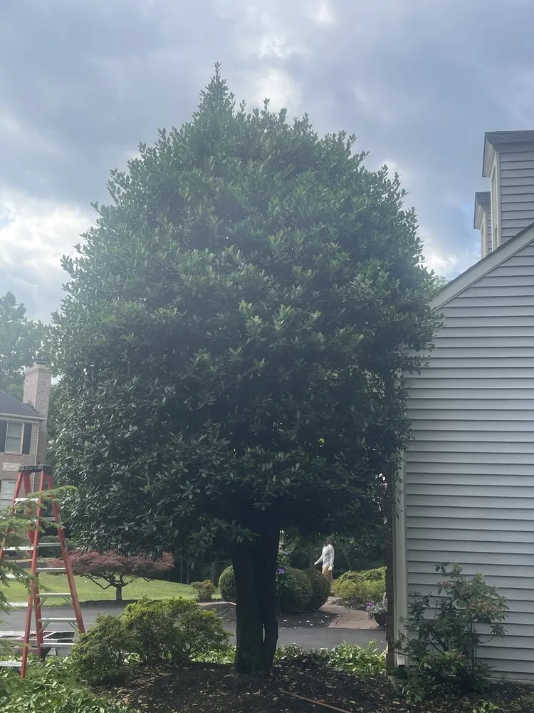 Trusted outdoor landscaping for beautiful yards in Chantilly, VA by Crestview Landscaping