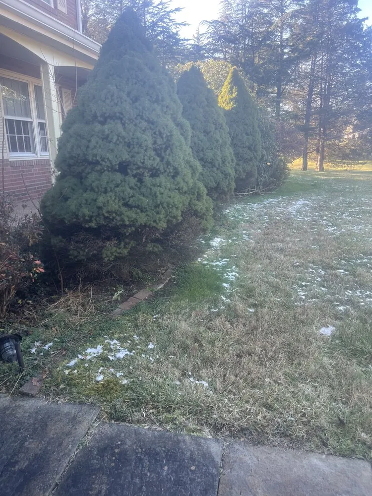 Reliable lawn care service for year-round maintenance across Chantilly, VA - Crestview Landscaping