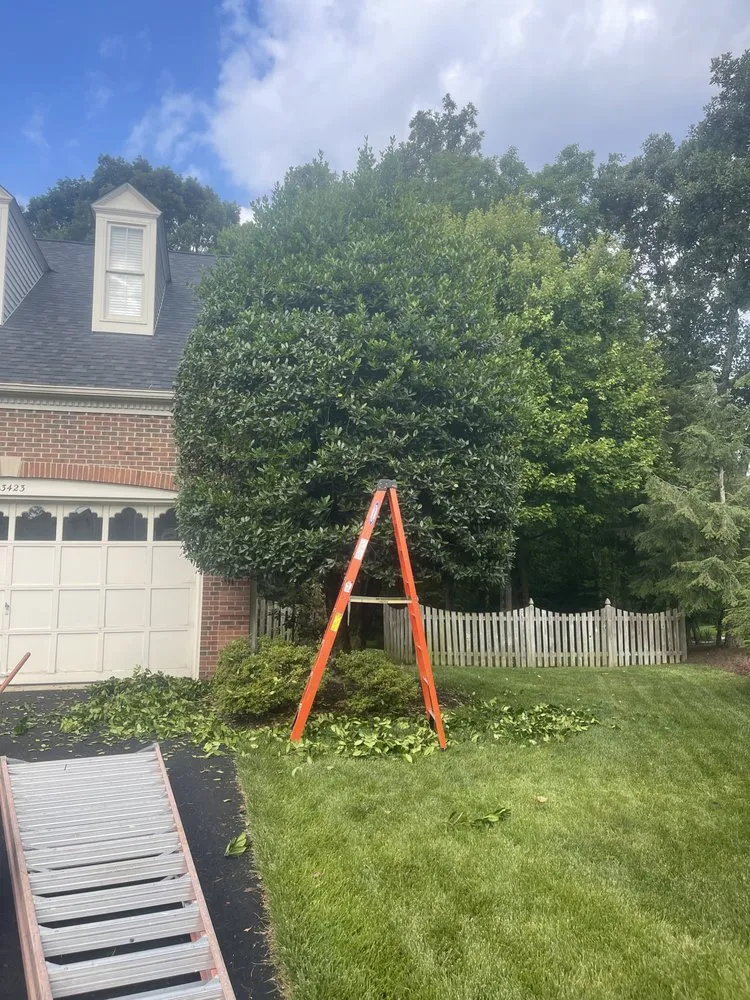 Trusted lawn care service for residential properties across Chantilly, VA - Crestview Landscaping